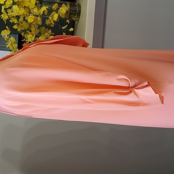 Lovely 100% silk dress, by Ali Ro. Beautiful peach color. Size 4. Unique ruffle - Picture 5 of 10